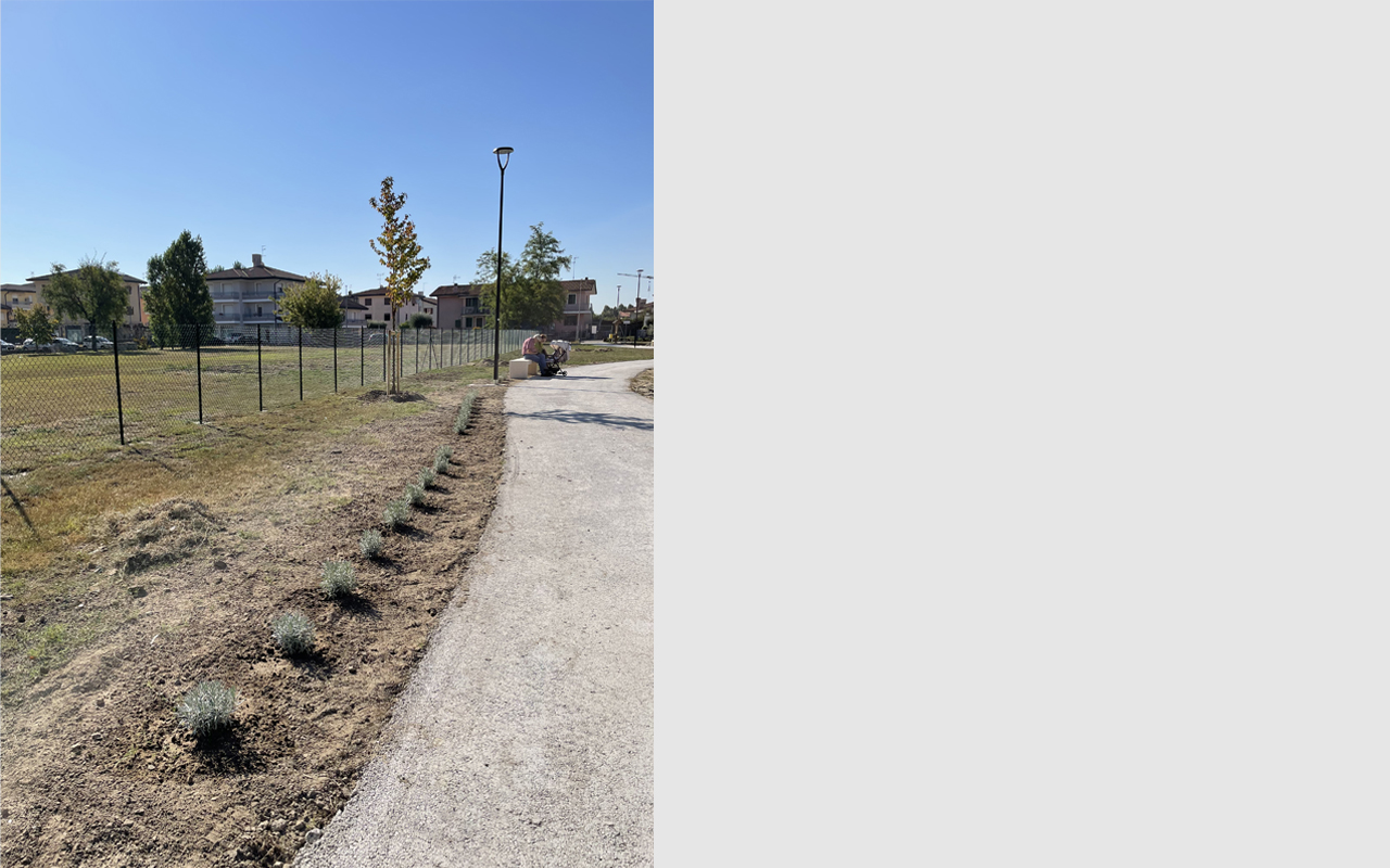 Camminamento pedonale adornato da filare di lavanda profumata, illuminazione ad alta efficienza energetica e sedute moderne ombreggiate da nuovi alberi.