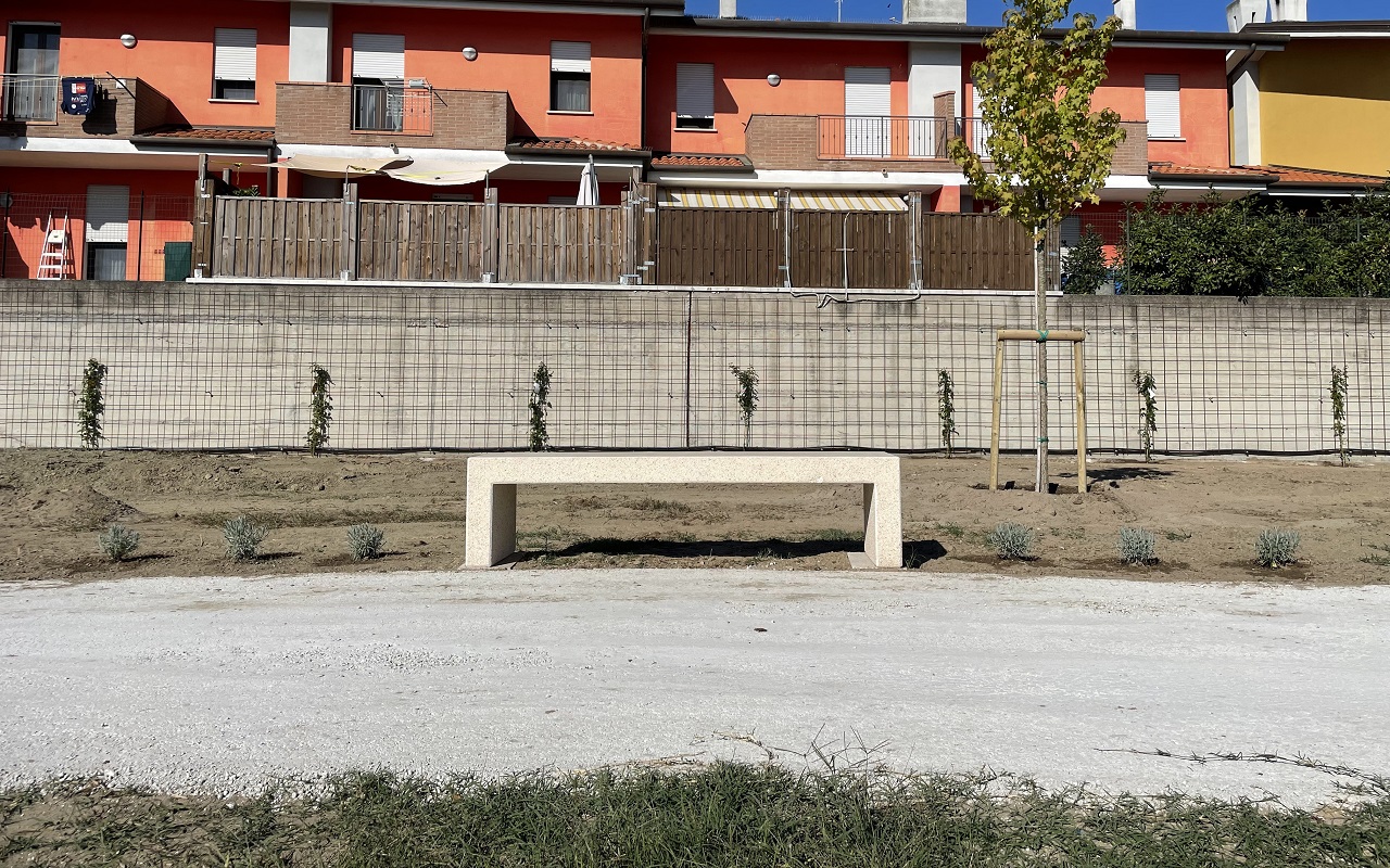 panca monolitica in cemento circondata da lavanda profumata lungo il camminamento pedonale , sul muro di fondo le nuove rose rampicanti profumate e i nuovi alberi